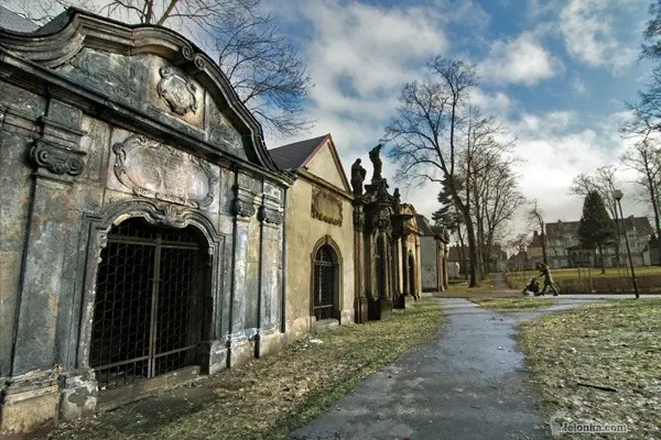 Ruszą prace na byłym cmentarzu przy Kościele Łaski, fot. Tejo, jelonka.com