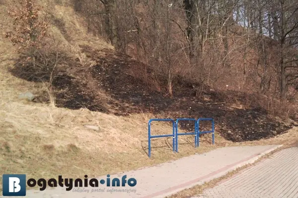 Pogorzelisko po wypalaniu trawy w okolicy wzgórza Obserwator - 2011 r., fot. archiwum bogatynia.info.pl
