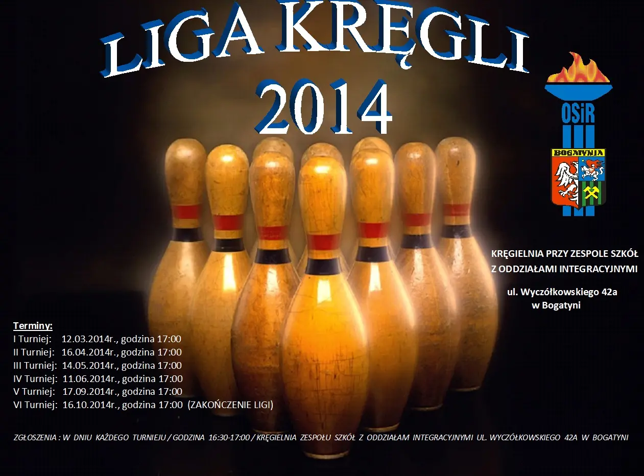Liga Kręgli 2014